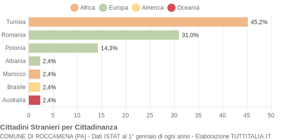 Grafico cittadinanza stranieri - Roccamena 2008