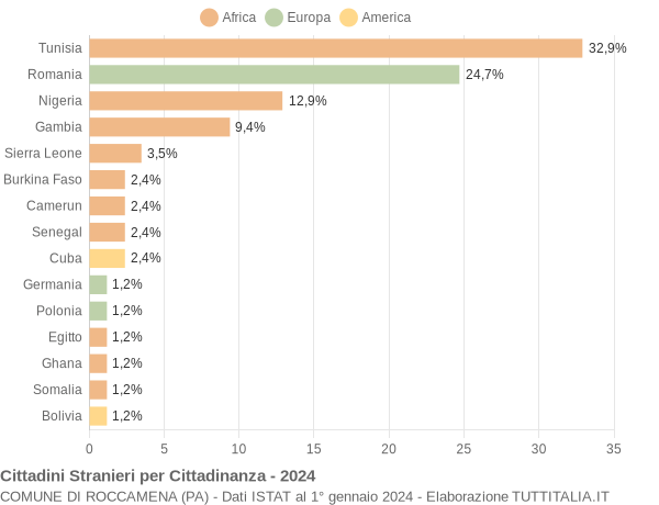 Grafico cittadinanza stranieri - Roccamena 2024