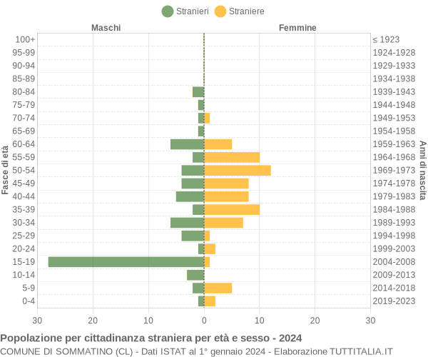 Grafico cittadini stranieri - Sommatino 2024