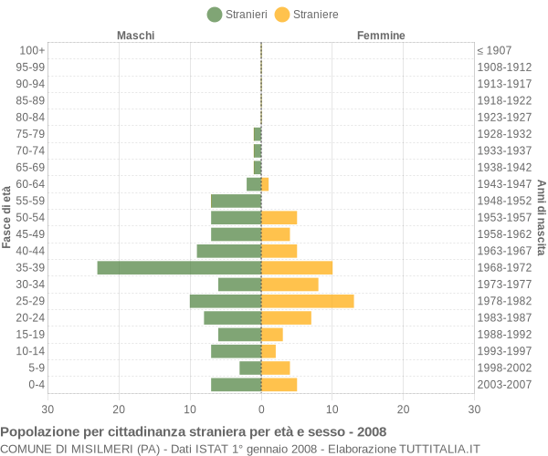 Grafico cittadini stranieri - Misilmeri 2008