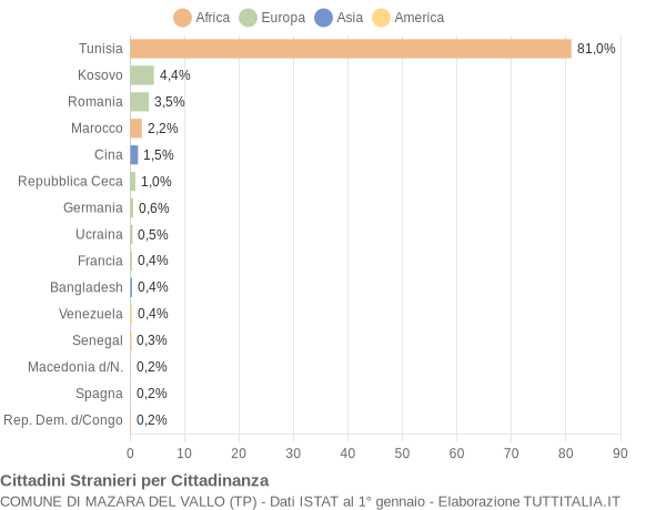 Grafico cittadinanza stranieri - Mazara del Vallo 2009