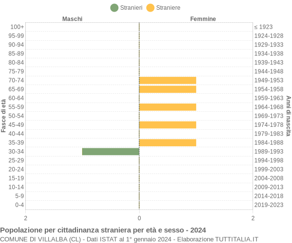 Grafico cittadini stranieri - Villalba 2024