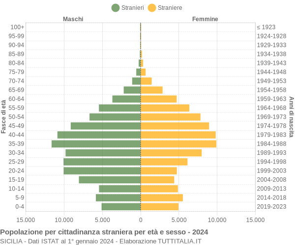 Grafico cittadini stranieri - 2024