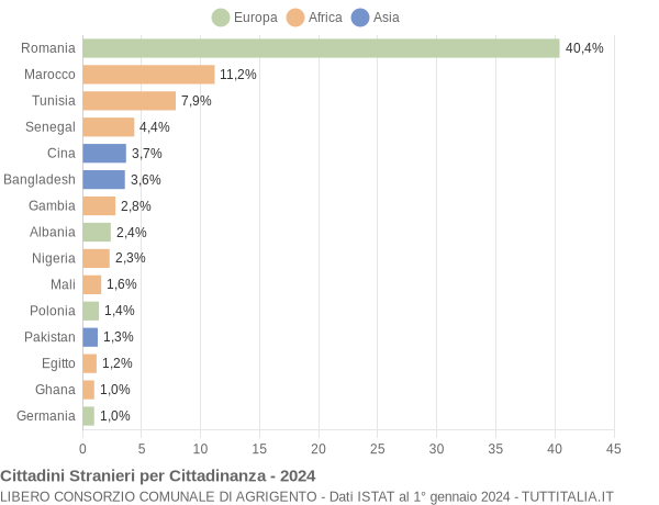 Grafico cittadinanza stranieri - 2024