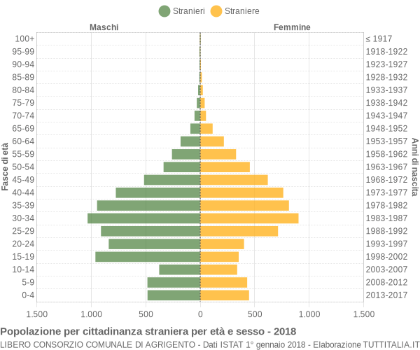 Grafico cittadini stranieri - 2018