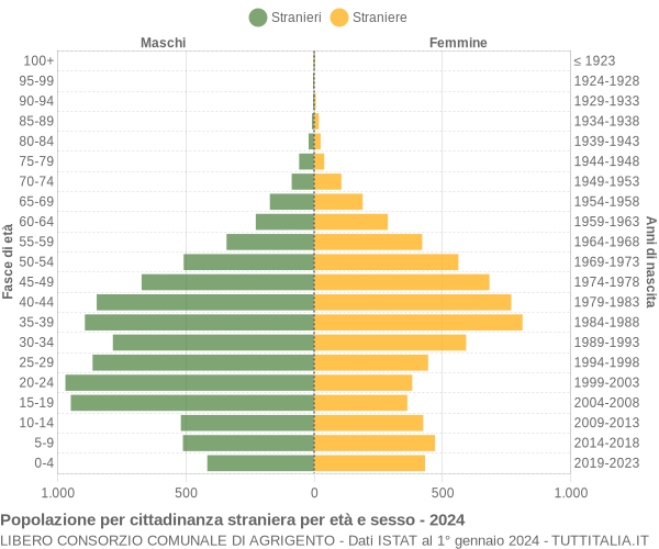 Grafico cittadini stranieri - 2024