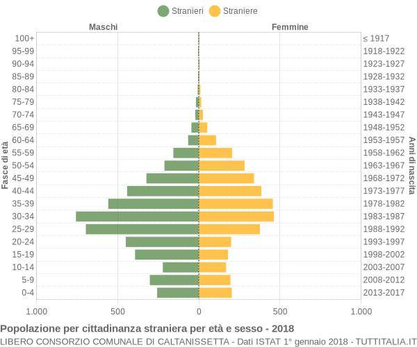 Grafico cittadini stranieri - 2018