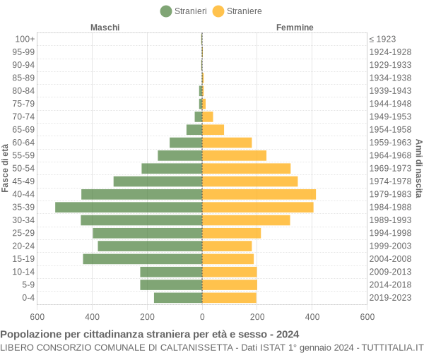 Grafico cittadini stranieri - 2024