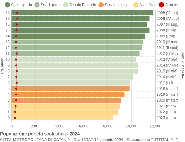 Grafico Popolazione in età scolastica - 2024