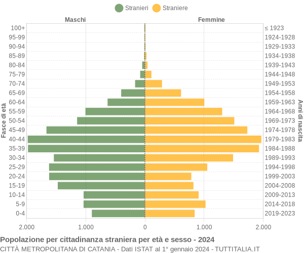 Grafico cittadini stranieri - 2024