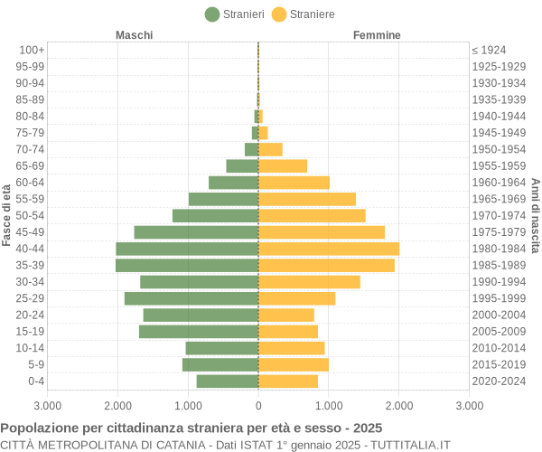 Grafico cittadini stranieri - 2025