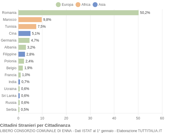 Grafico cittadinanza stranieri - 2009