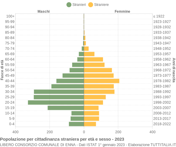 Grafico cittadini stranieri - 2023