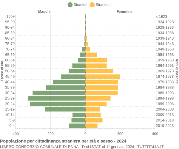 Grafico cittadini stranieri - 2024