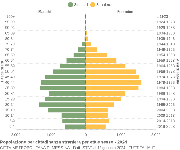 Grafico cittadini stranieri - 2024