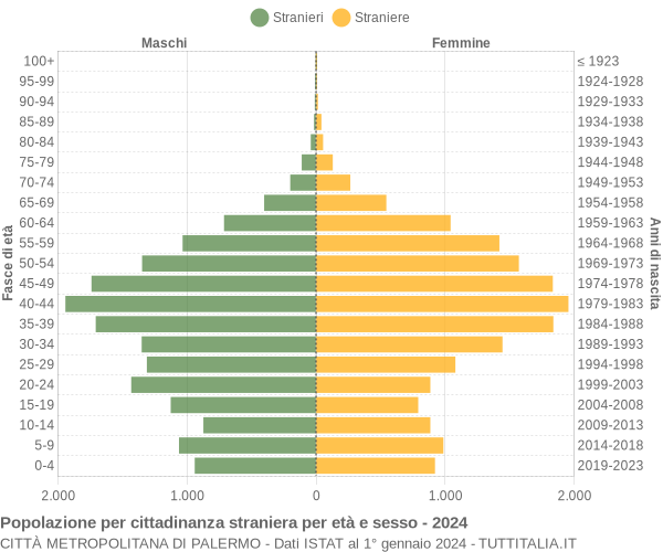 Grafico cittadini stranieri - 2024