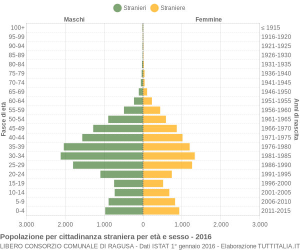 Grafico cittadini stranieri - 2016