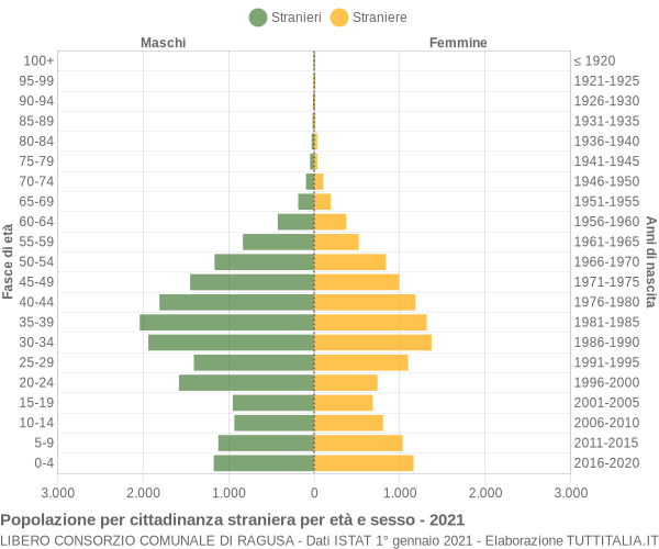 Grafico cittadini stranieri - 2021