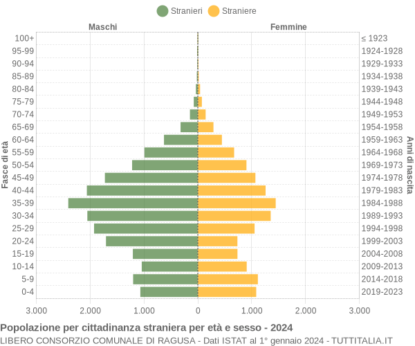 Grafico cittadini stranieri - 2024