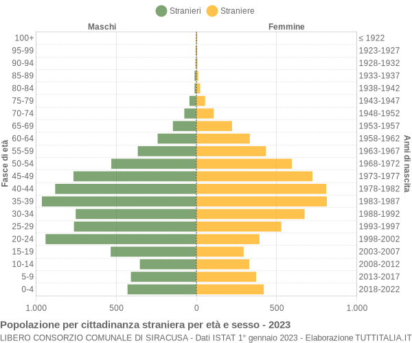 Grafico cittadini stranieri - 2023