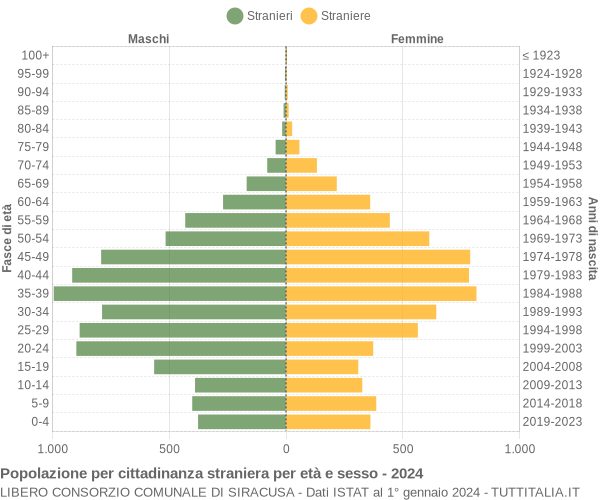 Grafico cittadini stranieri - 2024