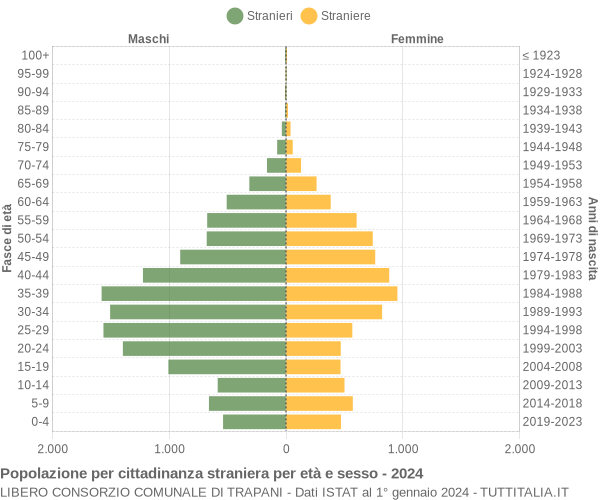 Grafico cittadini stranieri - 2024