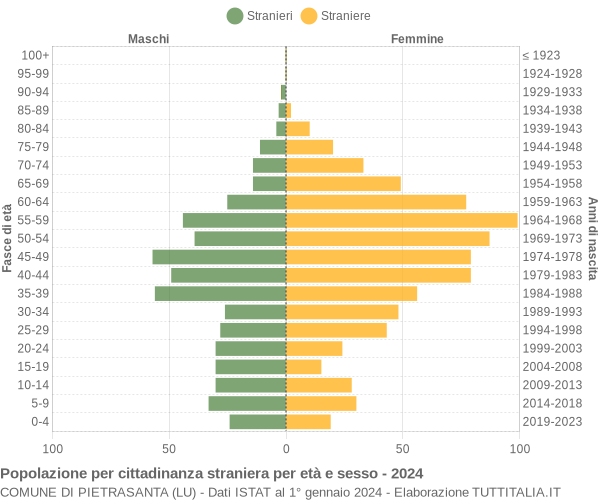 Grafico cittadini stranieri - Pietrasanta 2024