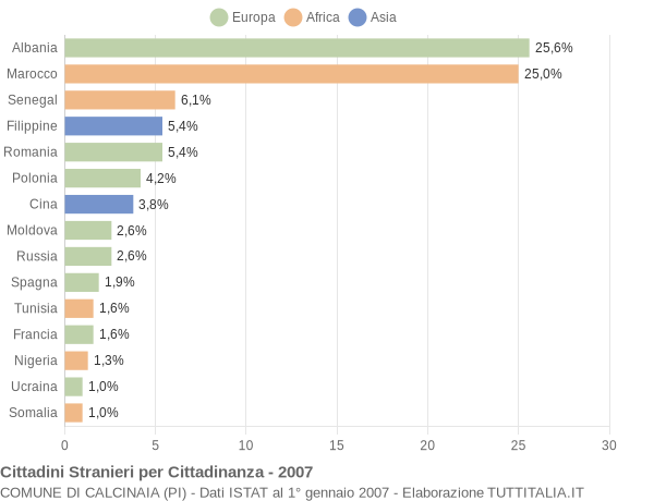 Grafico cittadinanza stranieri - Calcinaia 2007