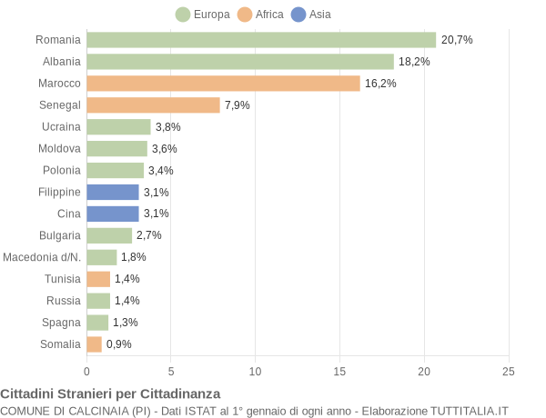 Grafico cittadinanza stranieri - Calcinaia 2009