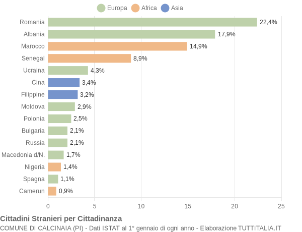 Grafico cittadinanza stranieri - Calcinaia 2010