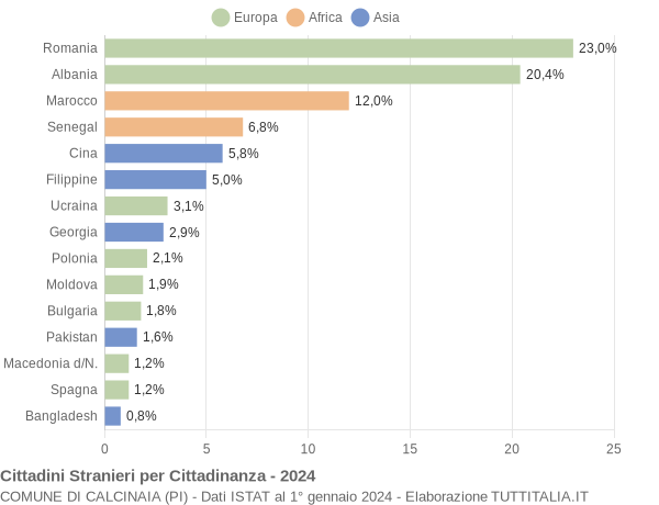 Grafico cittadinanza stranieri - Calcinaia 2024