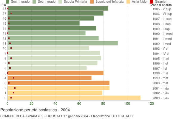 Grafico Popolazione in età scolastica - Calcinaia 2004