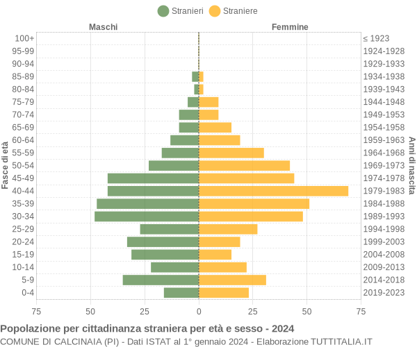 Grafico cittadini stranieri - Calcinaia 2024