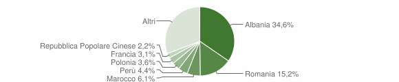 Grafico cittadinanza stranieri - Pontassieve 2013