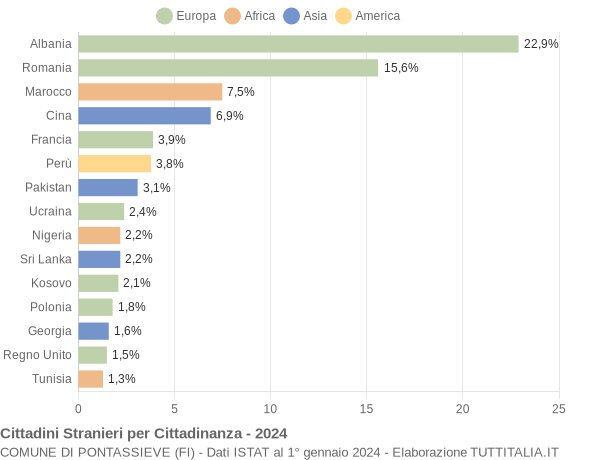 Grafico cittadinanza stranieri - Pontassieve 2024