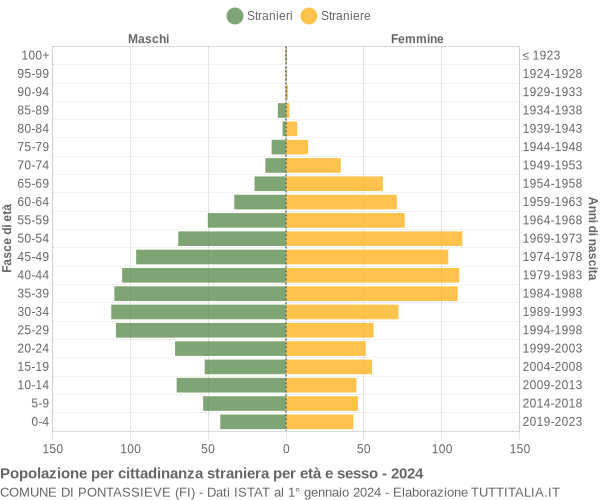 Grafico cittadini stranieri - Pontassieve 2024