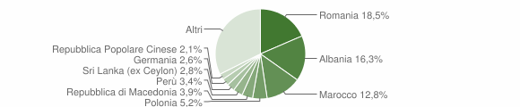 Grafico cittadinanza stranieri - Reggello 2011