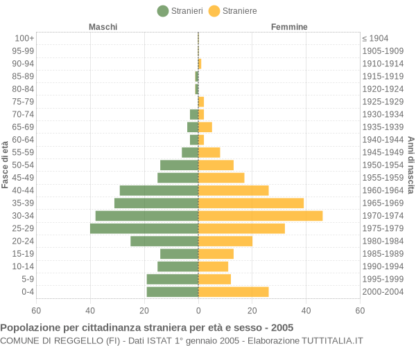 Grafico cittadini stranieri - Reggello 2005