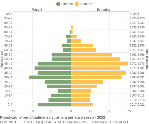 Grafico cittadini stranieri - Reggello 2022