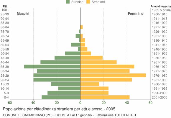 Grafico cittadini stranieri - Carmignano 2005