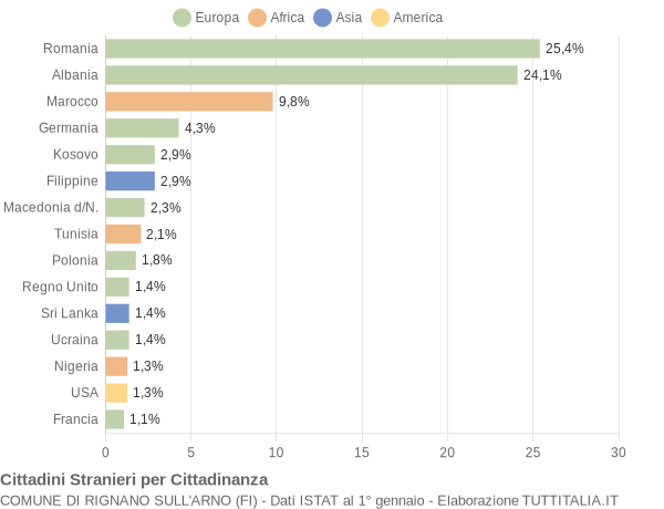Grafico cittadinanza stranieri - Rignano sull'Arno 2010
