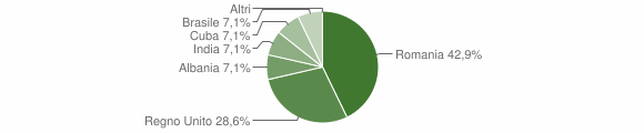 Grafico cittadinanza stranieri - Careggine 2013
