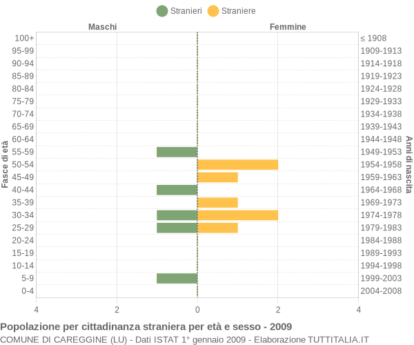 Grafico cittadini stranieri - Careggine 2009