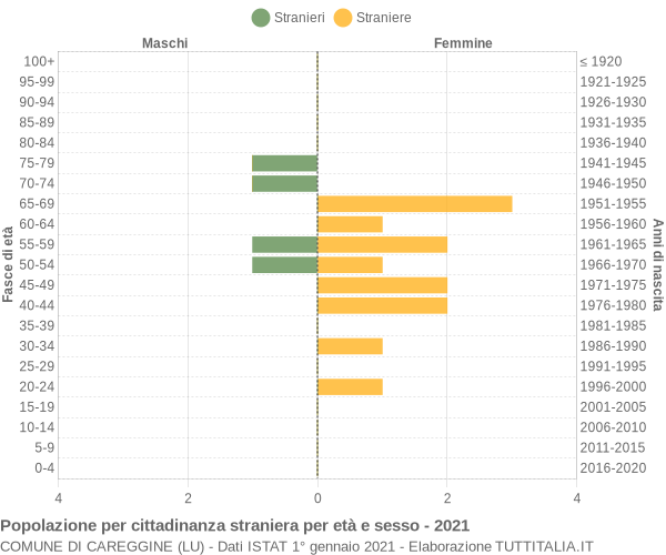 Grafico cittadini stranieri - Careggine 2021