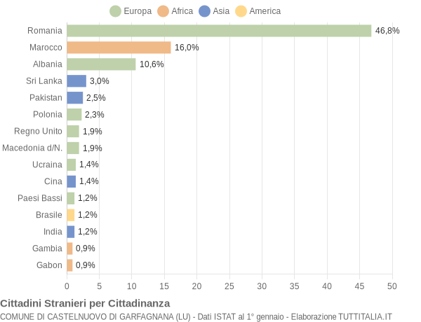 Grafico cittadinanza stranieri - Castelnuovo di Garfagnana 2017