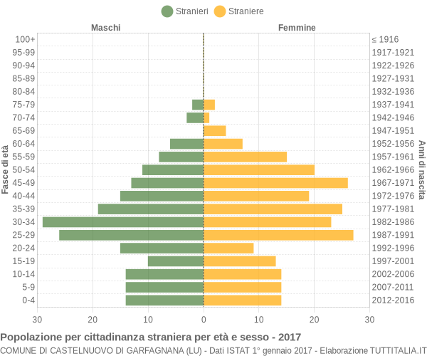 Grafico cittadini stranieri - Castelnuovo di Garfagnana 2017