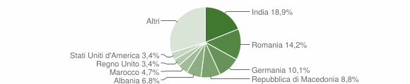 Grafico cittadinanza stranieri - Trequanda 2009