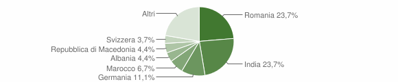 Grafico cittadinanza stranieri - Trequanda 2013