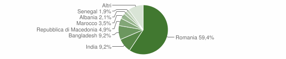Grafico cittadinanza stranieri - Bibbiena 2011