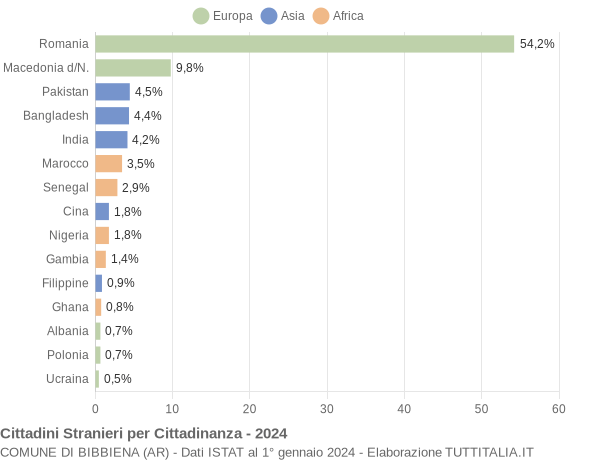 Grafico cittadinanza stranieri - Bibbiena 2024